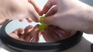 Small Green Plastic Hollow Grape Spins and Rises Back and Forth for 0:15