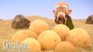 Download Lagu Oko Lele ✨ Pria tua  ⭐ Bahasa TV Super Toons MP3