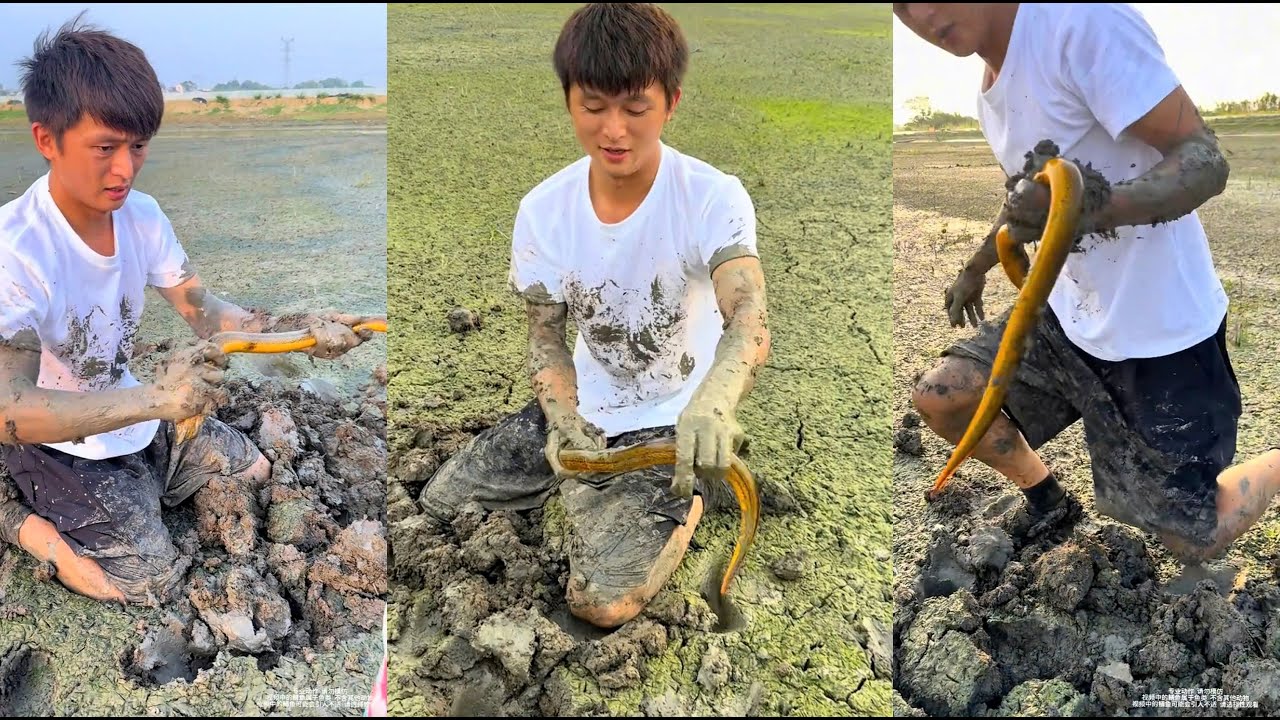 Chưa kịp bắt lươn đã lỗ 1000 tệ, lần này phải gỡ kèo ông chủ