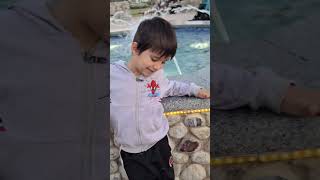 Ya rab #song #explore #music