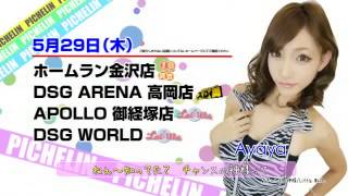 2014年 PICHELIN TVCM 5月26日~6月1日調査予定日