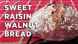 Sweet Raisin Walnut Bread Made Easy  Simple NoKnead Recipe