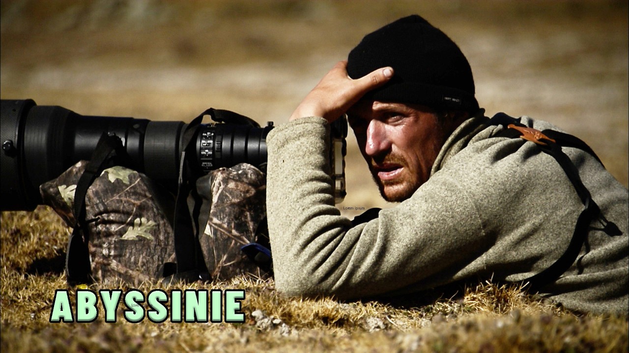 À la recherche du loup d'Abyssinie | Documentaire animalier