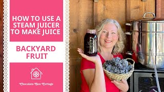 How to Use a Steam Juicer | Make Fresh Elderberry Juice for Syrup, Jelly, and More!
