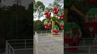 A View of Alphine Village in Dahilayan Adventure Park | #shortvideo | #shorts
