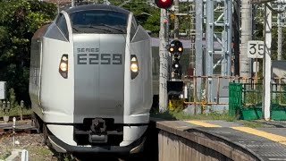 4001M  【※セカナン編成】E259系横クラNe002編成  特急しおさい1号銚子行  銚子駅1番線ホーム入線