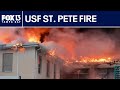 Investigation into fire at USF St. Pete Marine Science Lab