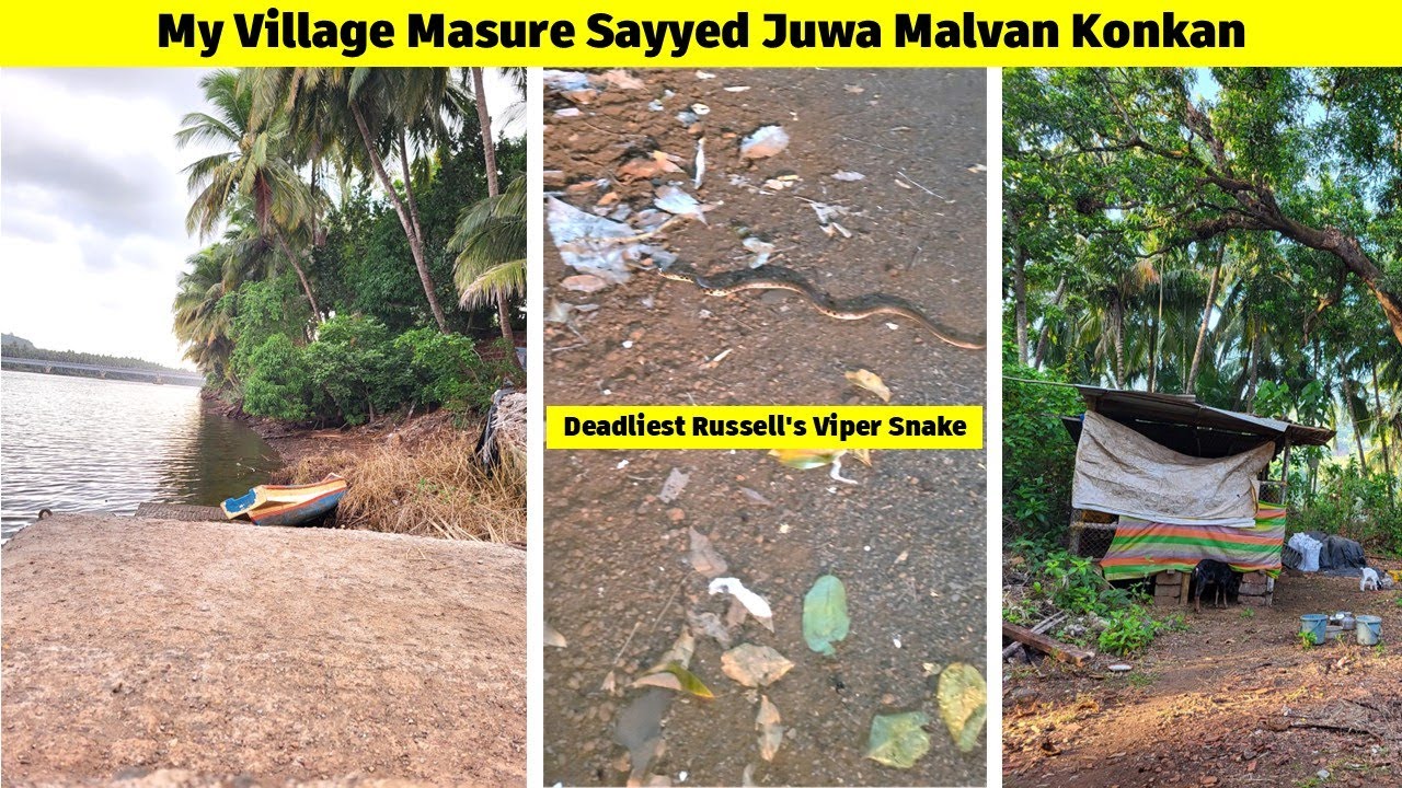 My Village Masure Sayyed Juwa Malvan #nature #mumbaigoahighway #travel #masure #malvan