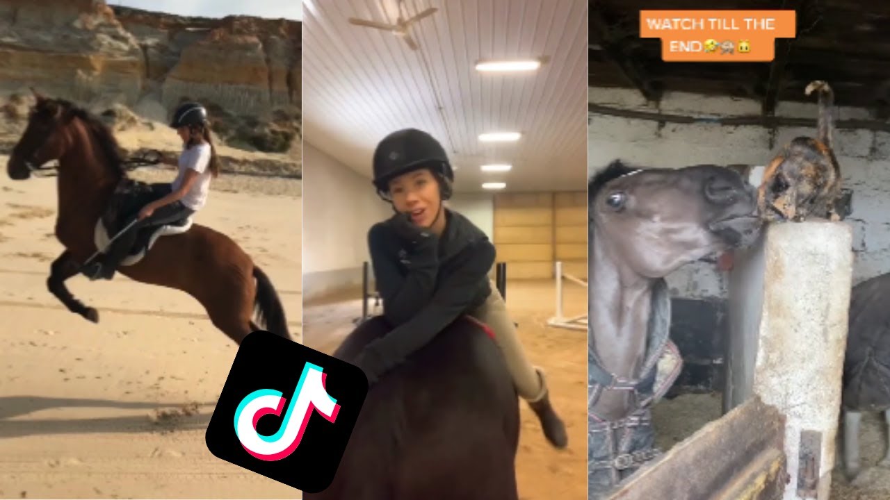 TikTok Horse Fails/Falls compilation YouTube