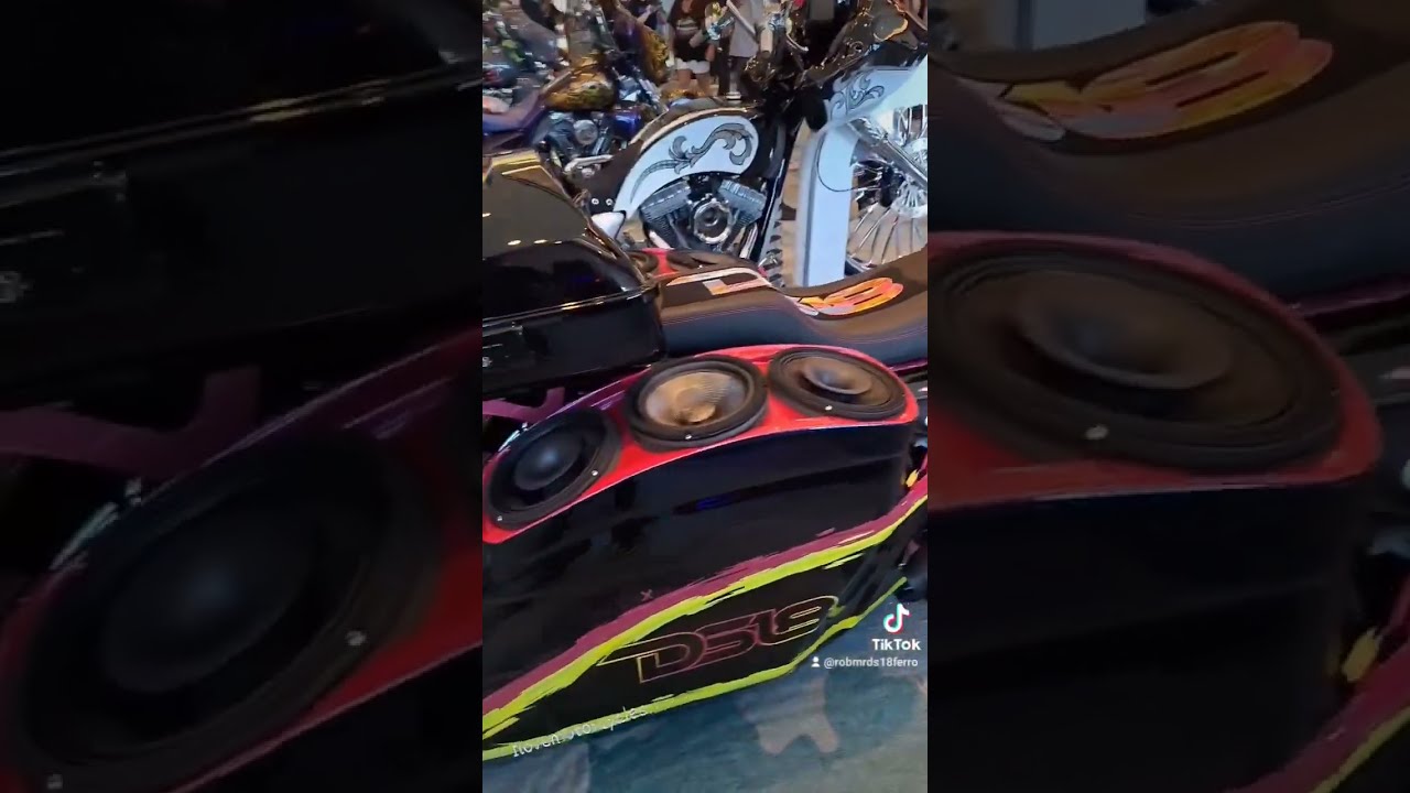 Welcome To The Bagger Life Ds18 Bass Vip Shortvideo Shortsfeed Mrds18