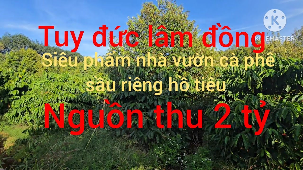 (ĐÃBÁN)Siêu phẩm nhà vườn cà phê sầu riêng hồ tiêu nguồn thu gần 2 tỷ 