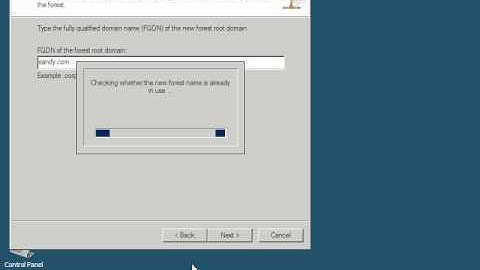Configure the active directory(server).avi