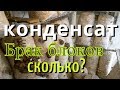 Вешенка Брак Грибных Блоков Конденсат под пленкой Влажность Субстрата Вентиляция Температура