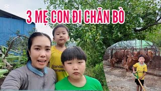 737🇰🇷 MOM AND HER 2 KIDS HERDING COWS IN SOUTH KOREA