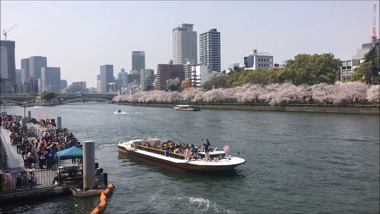 大川さくらクルーズ 八軒家浜船着場 Okawa Sakura Cruise Osaka 18 3 29 Youtube