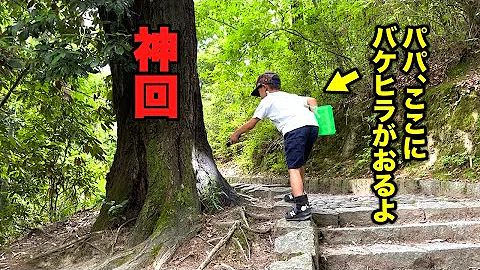 森こんにゃくカブトムシ