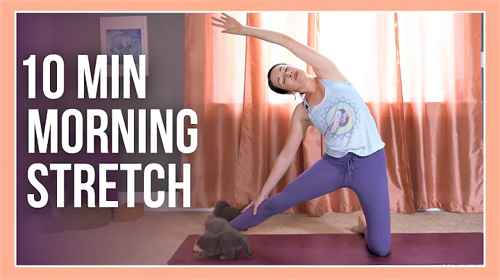 10 min Morning Yoga Stretch with KITTENS