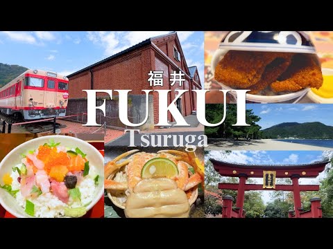 【敦賀女子旅】絶品海鮮と絶景、初めての敦賀が楽しすぎた！ 名物ソースカツ丼/せいこ蟹/海鮮丼/ケーキ大福/気比の松原/氣比神宮/敦賀赤レンガ倉庫