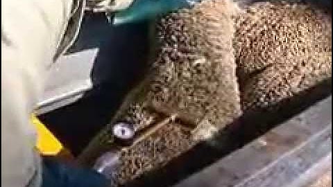 Hand-jetting with the Dutjet wand