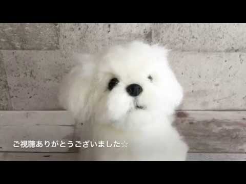 羊毛フェルトで作る リアル マルチーズの胴体の作り方 - YouTube