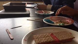 Student created Video Plate Motion Model