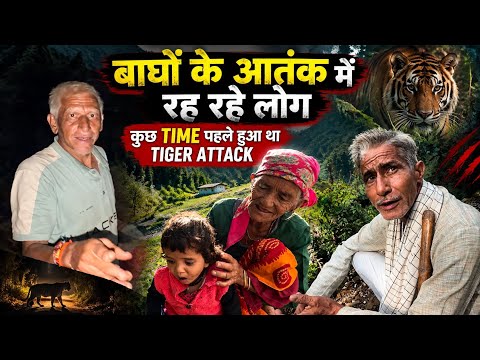 😨 Tiger Attack के बाद दहशत में ग्रामीण | Ground Reality of Wildlife Conflict 