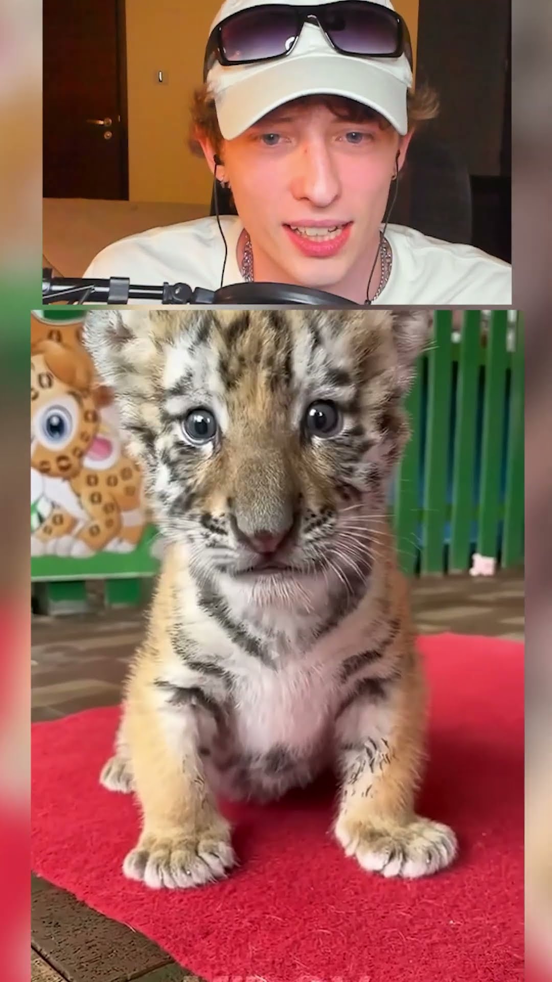 Transformación en ANIMALES?