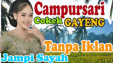 tanpa iklan paling cokek Bass ger Full album 1 JAM Tanpa iklan campursari sragenan view jalan desa
