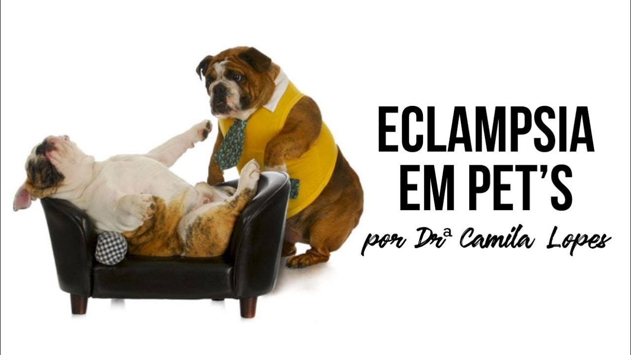 ECLAMPSIA EM PET's YouTube