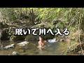 アイドルがパンイチで川へ入るinキャンロクパーク