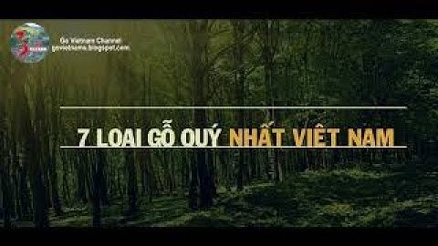 Top 7 loại GỖ QUÝ HIẾM tại Việt Nam | Go Vietnam ✔