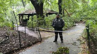 Friends, parkgoers reflect on woman who was killed in Central Park screenshot 4