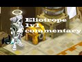 [PVP 1v1] Eliotrope 4500 cote koli english commentary