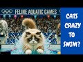 CATS: Stars of the Olympic Swimming Pool? 💦