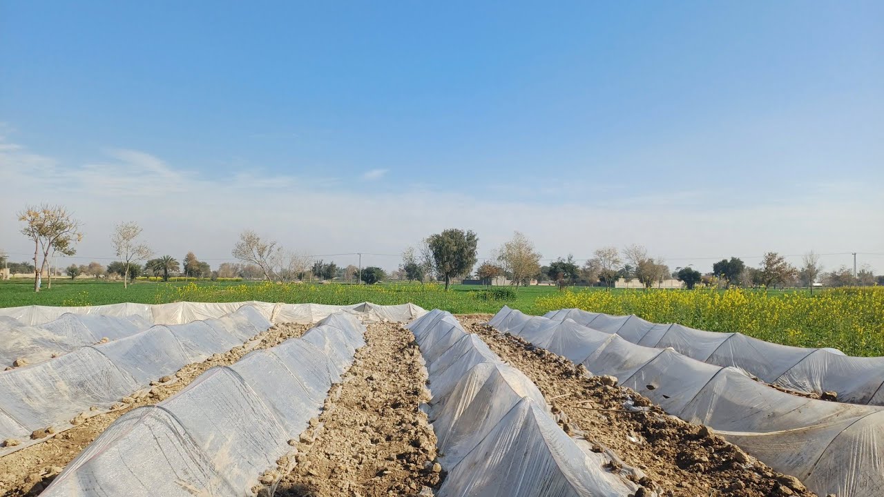 Best weather my village  Watch!"