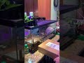 Unboxing a baby map turtle from myturtlestorecom