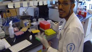 HOPP Summer Student  Program | Lab skills 1