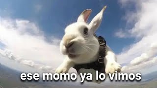 Shitposting Compilation V9