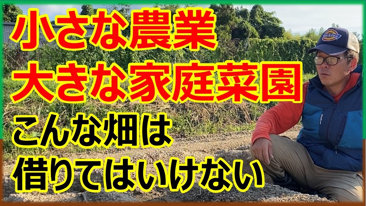畑を借りるときの注意点　小さい農業・大きい家庭菜園が日本の農業を救う！