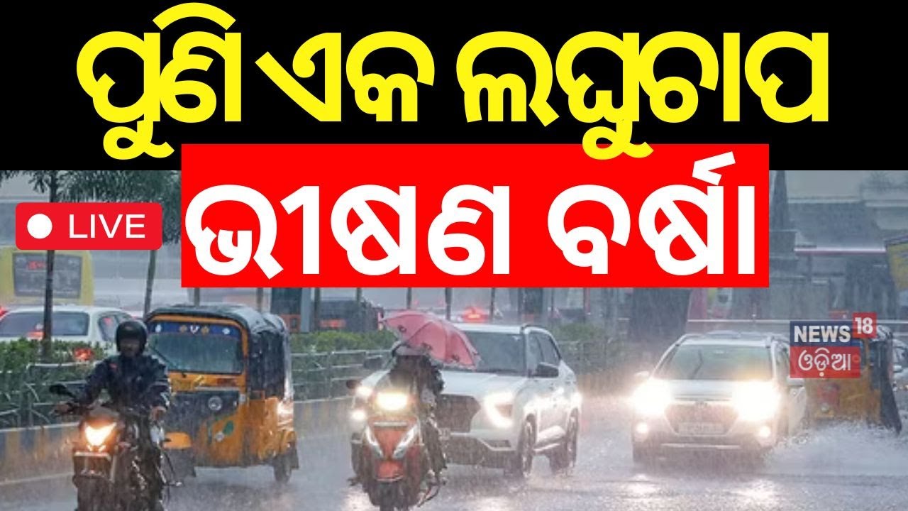 Odisha Rain News Live: ବର୍ତ୍ତମାନର ବଡ଼ ଖବର | Odisha Rain | Odisha Rain Alert