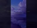 رزكار محمد حالات واتس اب قران حالات واتس قرأن تلاوة خاشعة Quran Status اية قرانية قصيره mp3