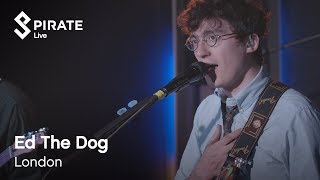 Ed The Dog Full Performance | Pirate Live