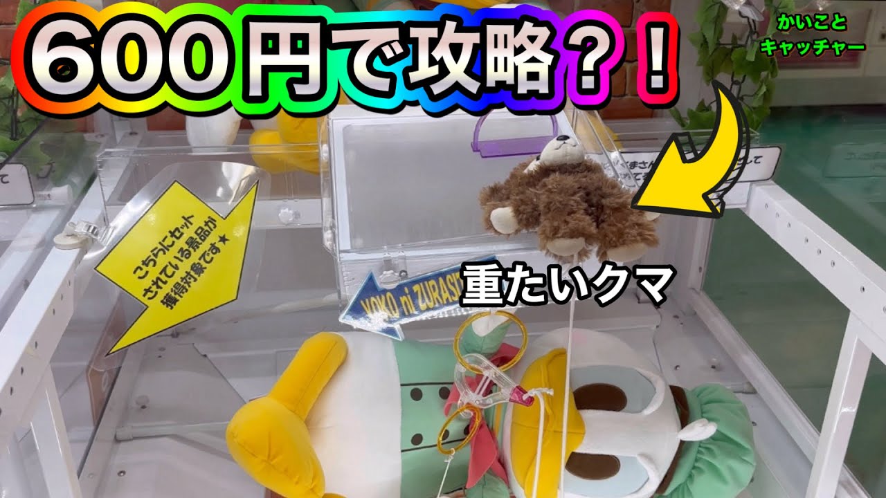おもりの入ったクマは600円以内で攻略出来るのか❓#クレーンゲーム