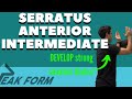Serratus anterior intermediate exercises  san diego chiropractor