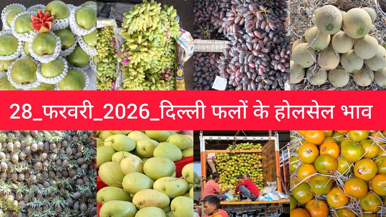 28 February 2026 दिल्ली सभी फलों के भाव delhi fruit market price Azadpur mandi aaj ka fruit rate