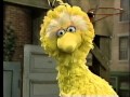 Youtube Thumbnail Classic Sesame Street - Big Bird The Grouch