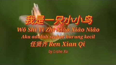 我是一只小小鸟～Wo Shi Yi Zhi Xiao Xiao Niao～任贤齐～Ritchie Ren