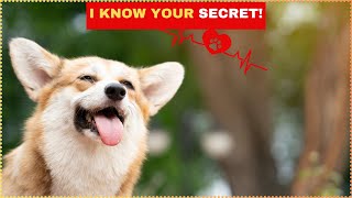 Secrets Your Dog Knows About You!