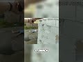 Intruder Caught! Police Gunpoint, Child Involved! Shocking!
