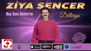 Ziya Sencer - Dillirga Resimi